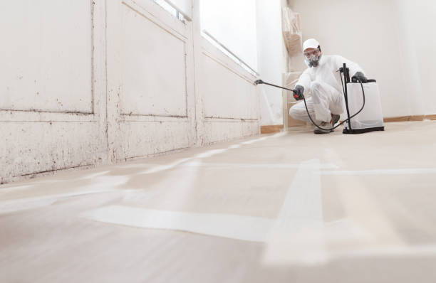 24/7 Emergency Mold Testing experts in Milton, WA