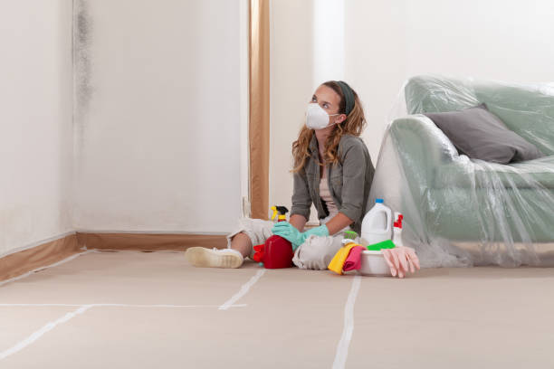 Reliable Mold Testing contractor in Milton, WA by WQB Mold Removal